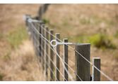 RingTop Offset Cattle fence-4747
