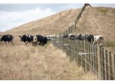 RingTop Offset Cattle fence-4805
