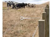 RingTop Offset Cattle fence-4811