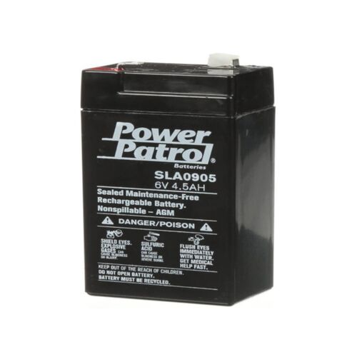 6 Volt 4 Ah Battery  Gallagher United States