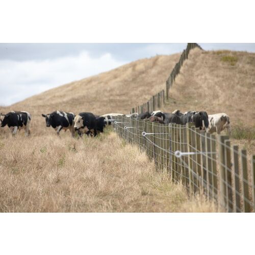 RingTop Offset Cattle fence-4805