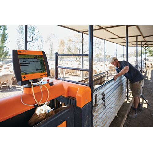 Sheep Auto Drafter 6