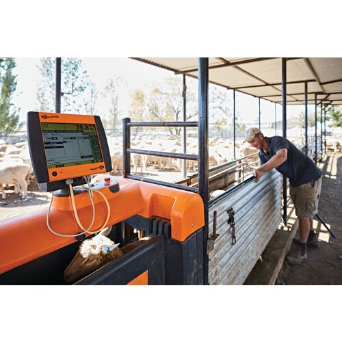 Sheep Auto Drafter 6