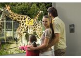 GNA Comp - Family Zoo EF Access